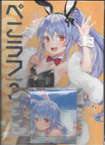 [Comic Market 103] [Hololive] Yuuki Hagure Usada Pekora Set (Wireframe) [Doujinshi Art Book]