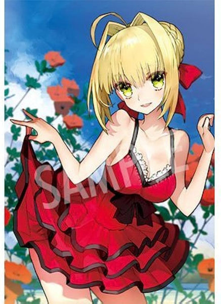 [Fate / EXTELLA LINK] Nero Claudius AR C85 [B1] [Tapestry] [158]