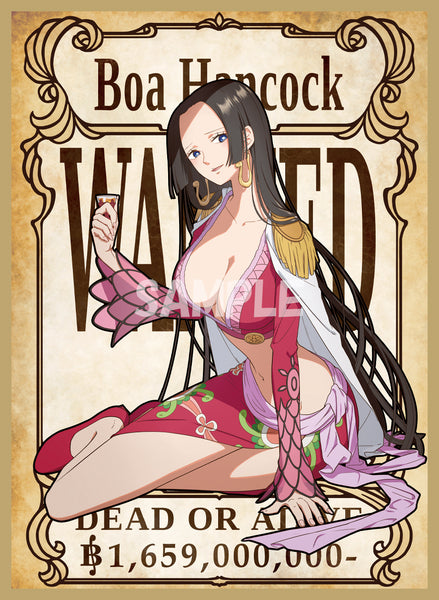 [Comiket] [One Piece] Boa Hancock [Trading Card Sleeves]