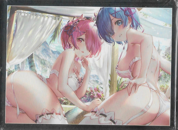 doujin card sleeves Doujin] [Re:Zero] Rem & Ram [Trading Card Sleeves] (Copy) – Holy Grail Hobby