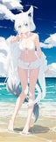 [Comiket 102] [Hololive] Fubuki Set (white parabellum 凪白みと DELPHNIUM) [Doujinshi Art Book]