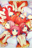 [Movie The Quintessential Quintuplet] Exhibition MAKEOVER Limited [B2] [Tapestry] (97)