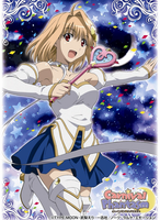 [Character Collection] [Carnival Phantasm][Tsukihime] Arcueid Brunestud [Trading Card Sleeves]